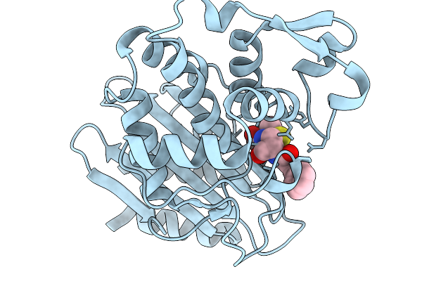 9R0R image
