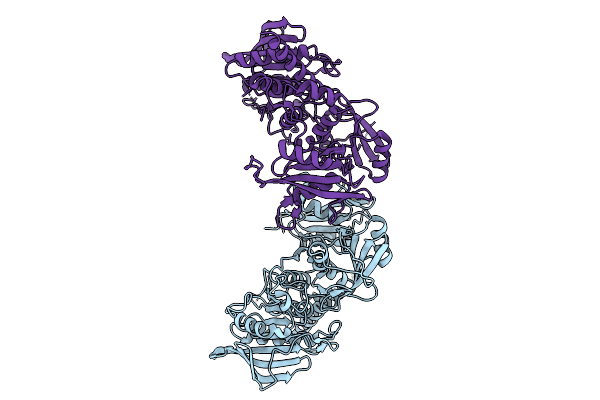9R16 image