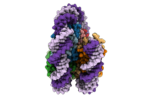 9R1D image