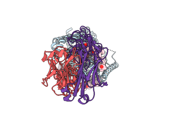 9R1E image