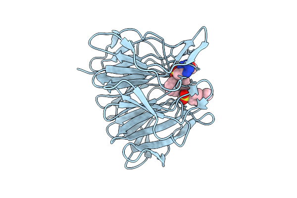 9R1I image