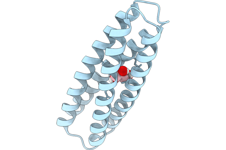9R1J image