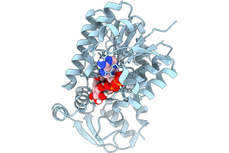 9R1S image