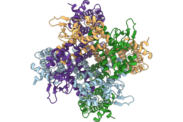 9R1V image