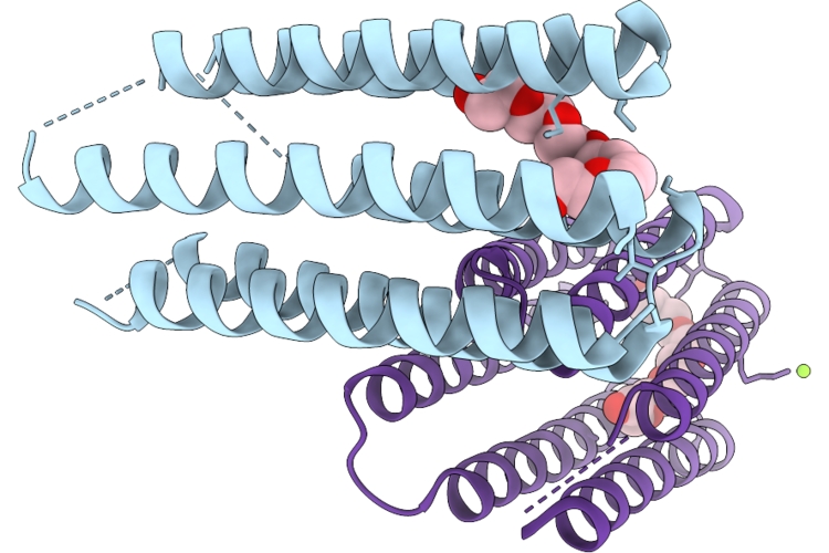 9R2B image