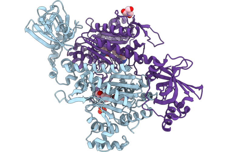9R2C image