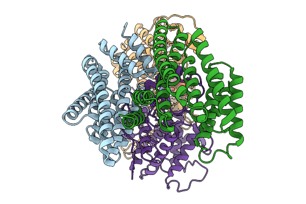 9R2I image