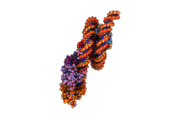 9R2P image
