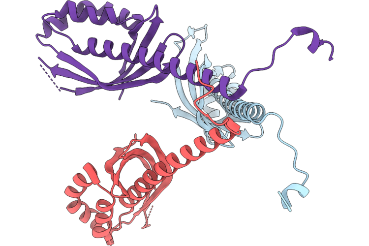 9R33 image