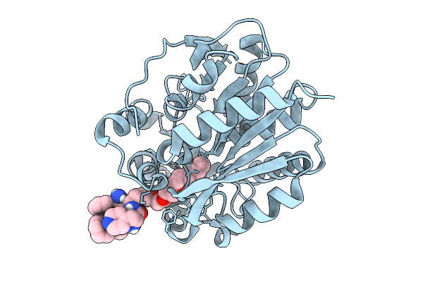 9R40 image