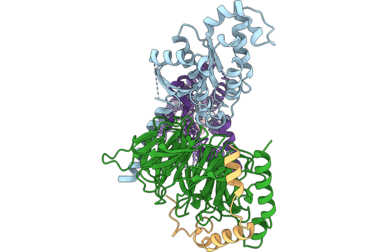 9R42 image