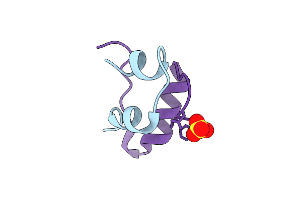9R4C image
