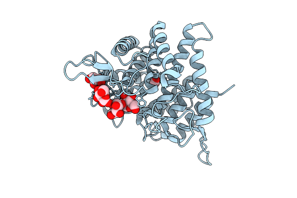 9R4N image