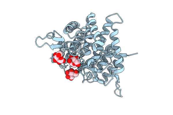 9R4P image