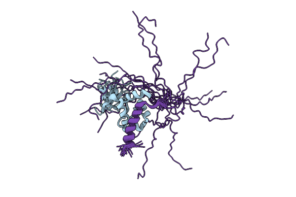 9R4V image