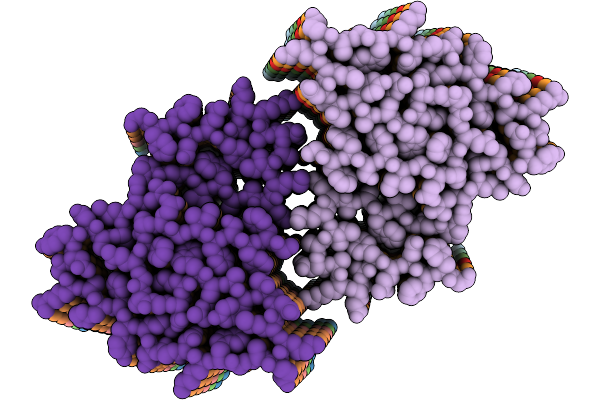 9R4Z image