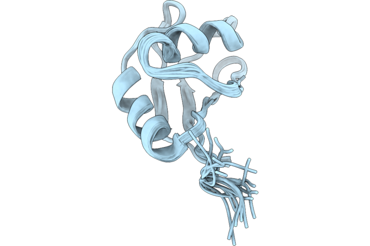 9R53 image
