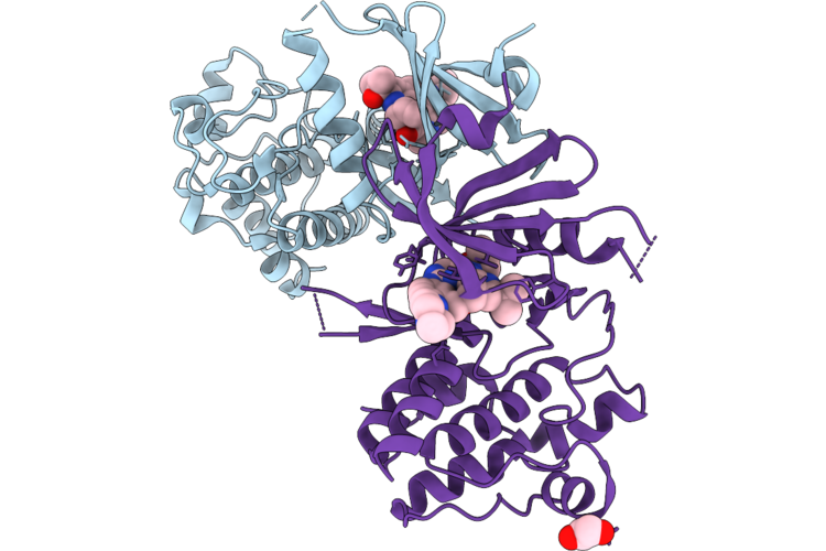9R55 image