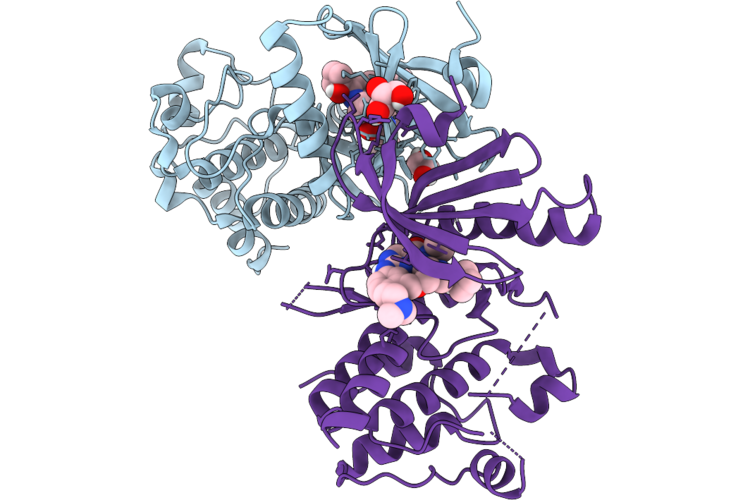 9R56 image