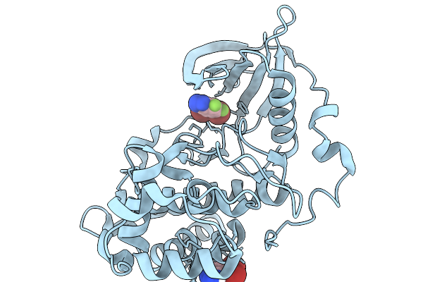 9R5B image