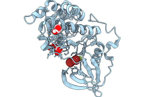 9R5F image