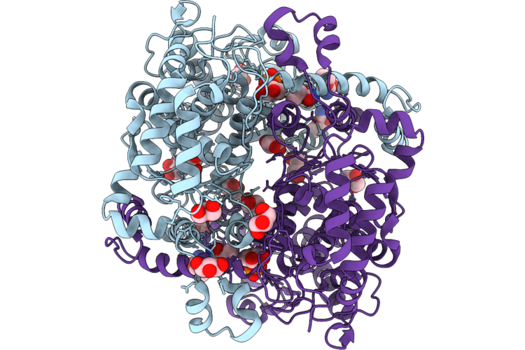 9R5H image