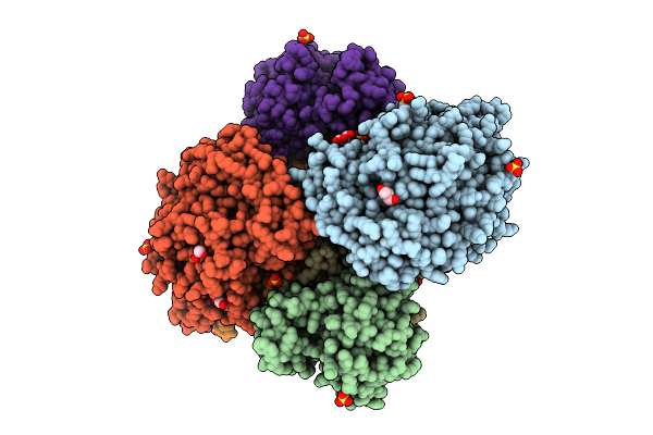 9R5I image
