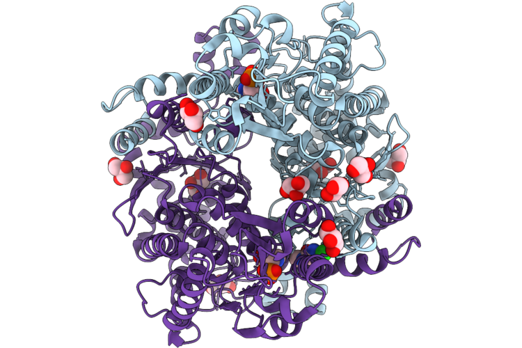 9R5J image