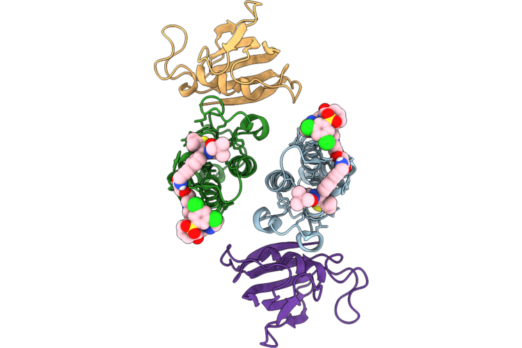 9R5N image