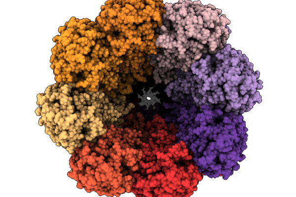 9R64 image