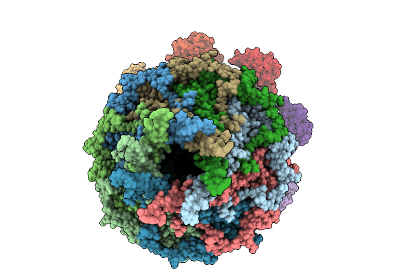 9R6B image