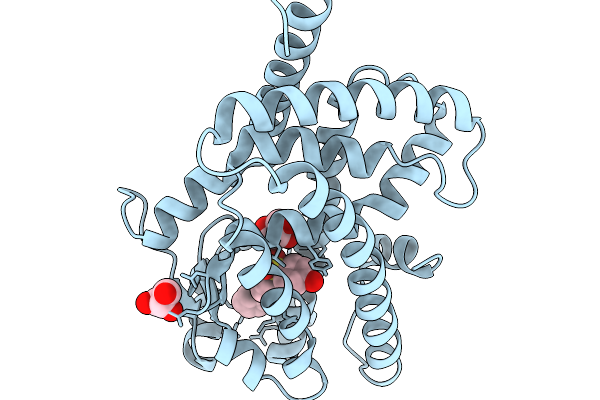 9R6I image