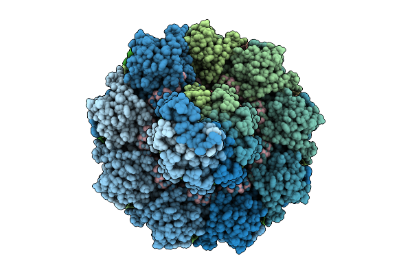 9R7V image