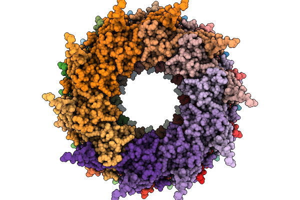 9R80 image