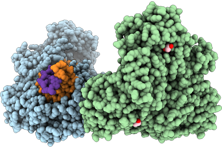 9R83 image