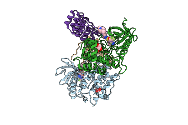 9R8B image