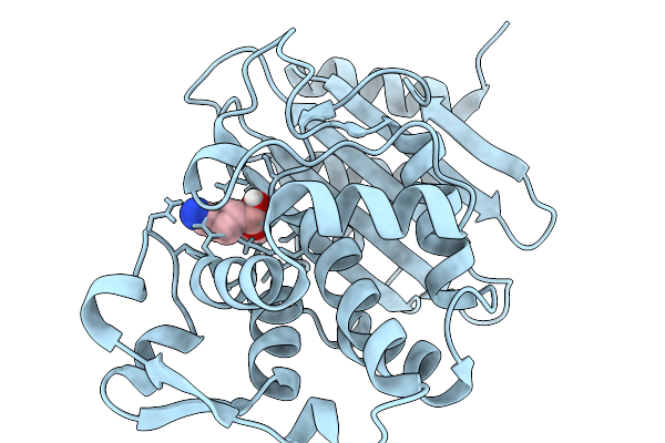 9R8F image
