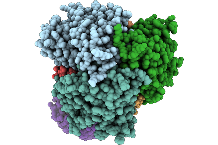 9R91 image