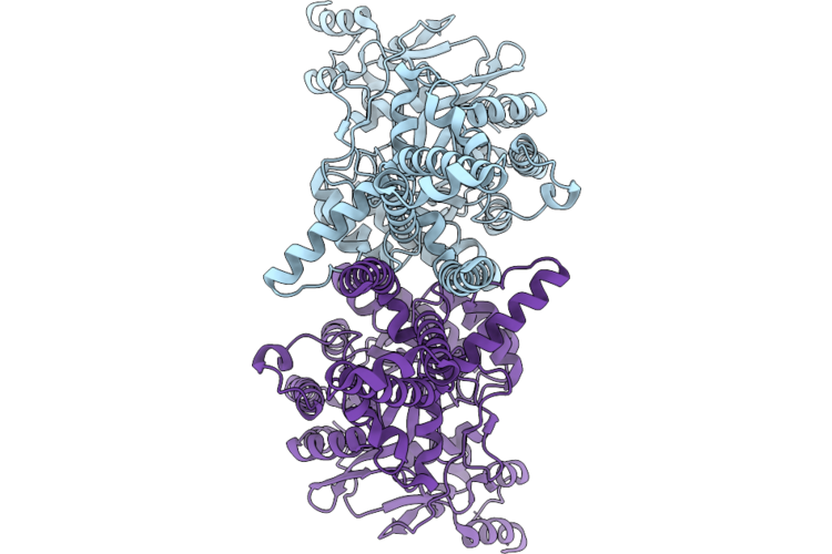 9R9A image