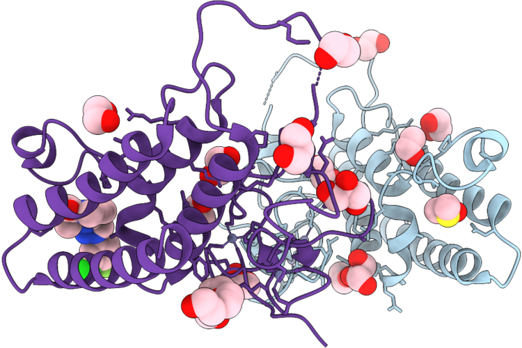 9R9C image