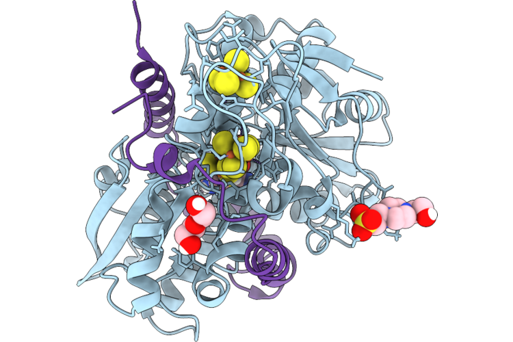 9R9V image