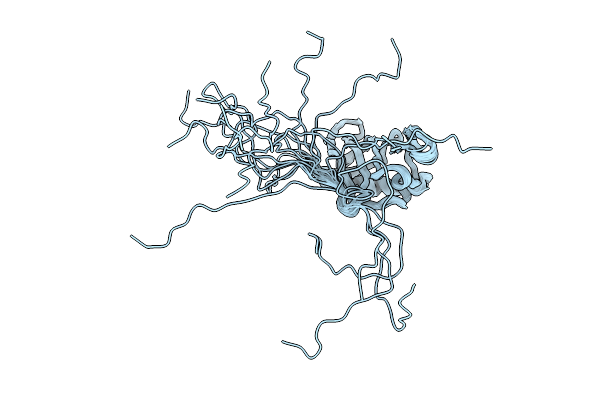 9RB5 image
