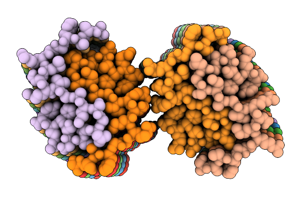 9RBD image