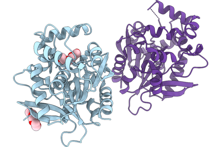 9RBP image