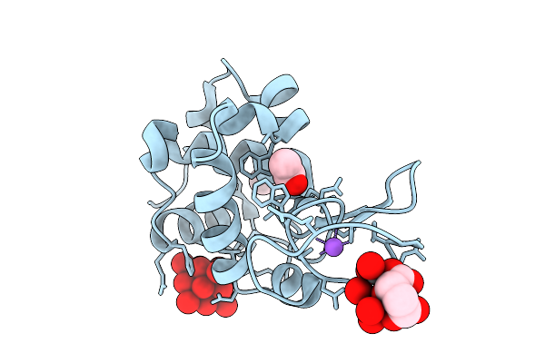 9RBT image