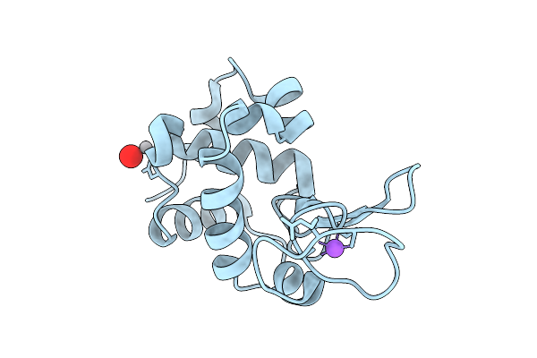 9RBV image