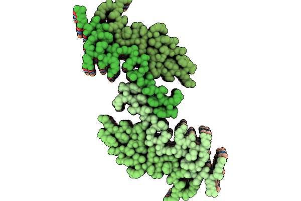 9RBW image