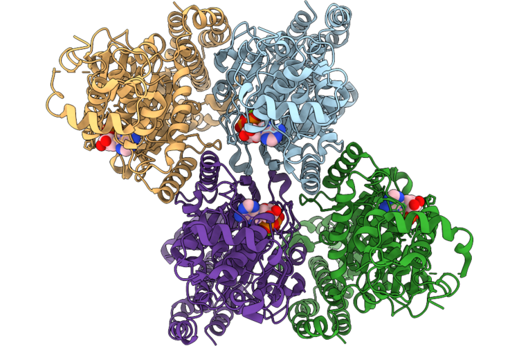 9RC1 image