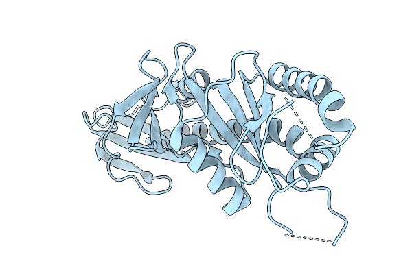 9RC2 image