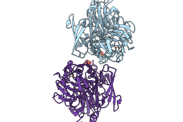 9RC3 image